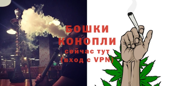 гидра Касимов